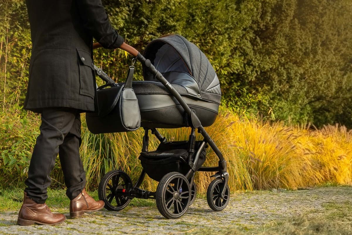 Carrito de bebé Frontera